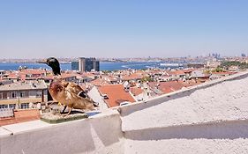 Duck Otel